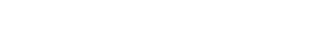 UnionBet Logo in White